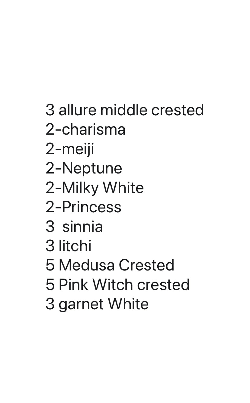 32 plants