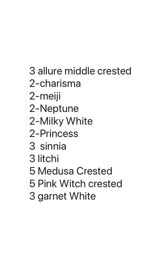 32 plants